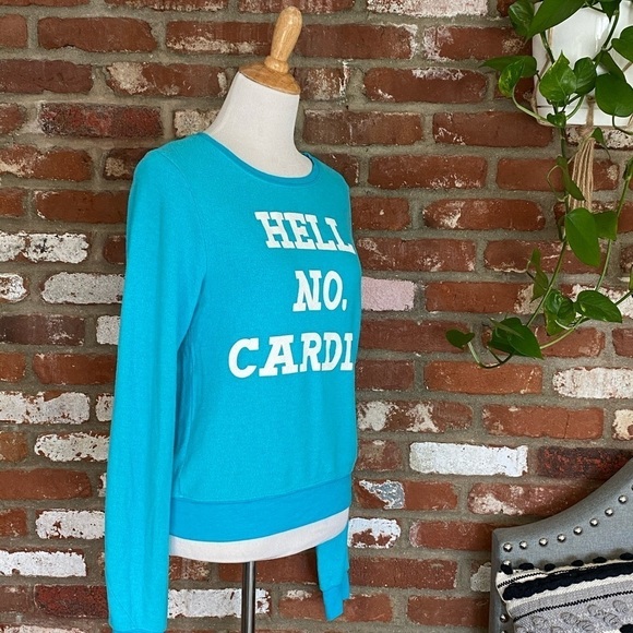 WILDFOX Aqua Blue and white graphic Hell No Cardio Pullover Sweater Size XS - Picture 3 of 7